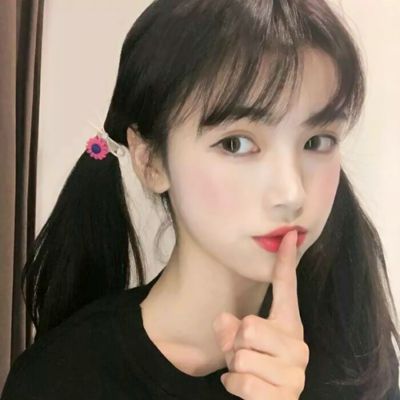 龙之王冠内购破解版下载